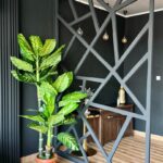 Good Will Funeral parlor